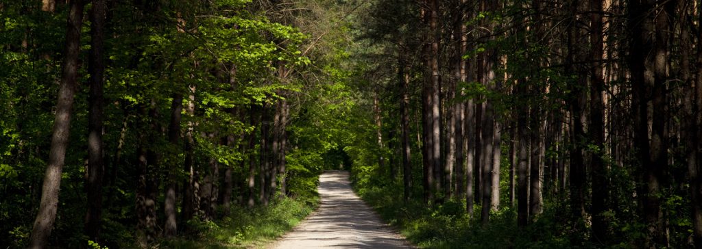 Ferienwohnungen Lennetal, Anreise